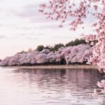 新しい季節、新しい学びのページが始まります